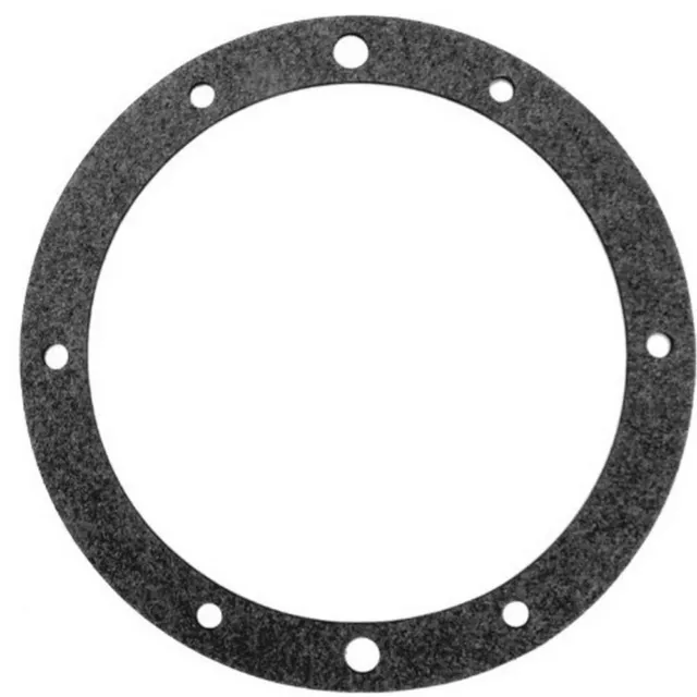 Pentair 79204600 Vinyl Gasket for AquaLight Spa Light Niche