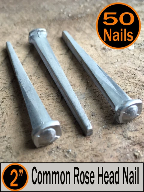(50) 2" - COMMON ROSE HEAD NAIL  - Antique Vintage Rustic Nails - 6d