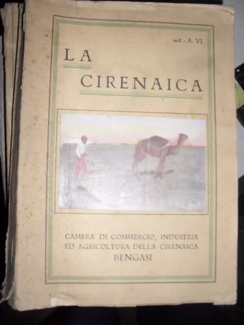 LA CIRENAICA camera commercio industria agricoltura Bengasi ed. Coletta 1928