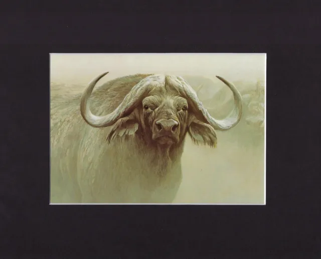 8X10" Matted Print Painting Art Picture, Robert Bateman: Buffalo Cow 1979