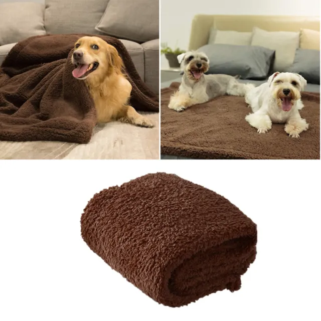 Coperta cane peluche cane coperta sfocata cane coperta pet letto coperta cane