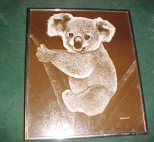 Framed KOALA BEAR Brown and White Print by Chaplan