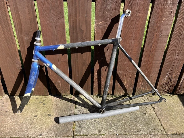 giant cfr pro