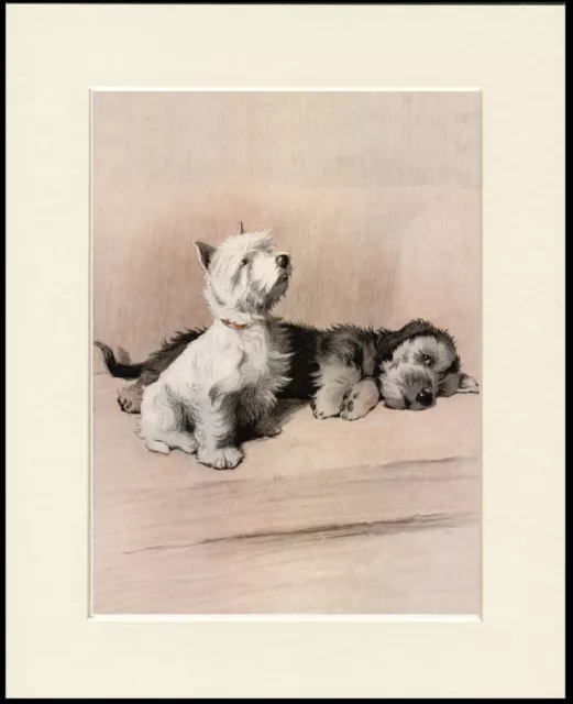 Westie And Dandie Dinmont Terrier Dogs Charming Dog Print Mounted Ready To Frame