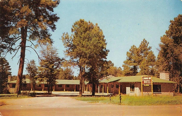 DIAMOND DART MOTEL Payson, Arizona Roadside c1950s Chrome Vintage Postcard