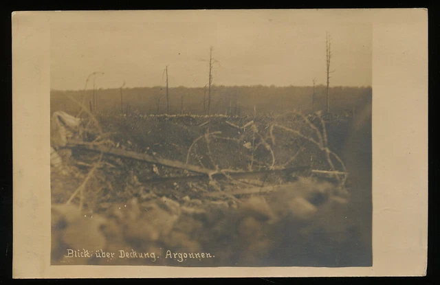 Foto AK - Blick über die Deckung Argonnen Frankreich - 1.WK