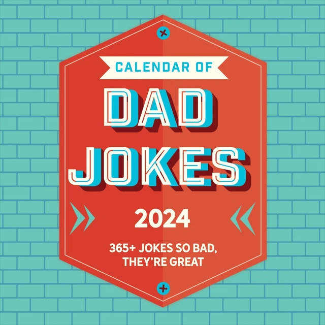 2024 DAD JOKES Wall Calendar 16.99 PicClick