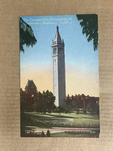 Postcard Berkeley University of California CA The Campanile Sather Bell Tower