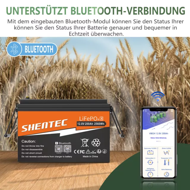 Lithium Batterie 12V 50Ah-200Ah LiFePO4 Akku BMS für Wohnmobil Solarbatterie RV 3