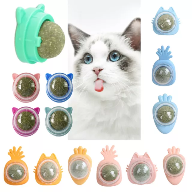 Gato Mascota Catnip Lamer Spinning Bola Juguete Snacks Nutrición Treats para Ca