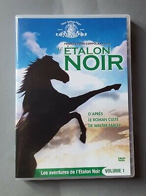 The Noir Étalon KELLY Reno Cheval En Eau Original 5x4 Transparence 1979 