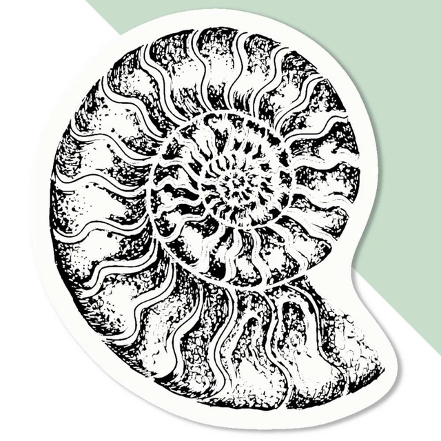 'Ammonite' Decal Stickers (DW039027)