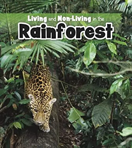 Vie Et non-Living En The Forêt Tropicale Livre de Poche Rebecca Rissman