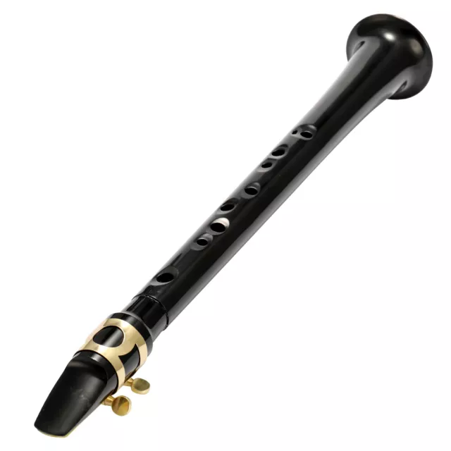 Portable Mini Sax Pocket Saxophone C Key Woodwind Instrument with Carry Bag J4M9