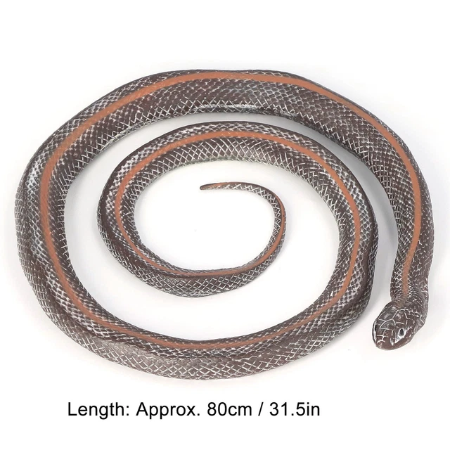 Jouet serpent en caoutchouc souple 1.25m - QIILU - Effrayez les oiseaux Jouet serpent en caoutchouc souple 1.25m - QIILU - Effrayez les oiseaux