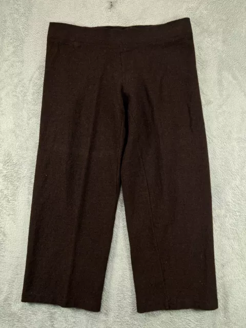 Eileen Fisher Pants Womens Medium Crop Wide Leg 100% Wool Brown Pull On Ladies