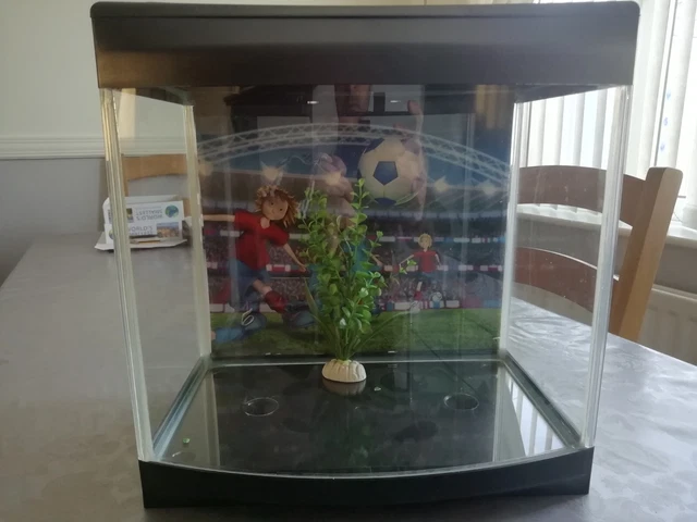 glass fish tank used