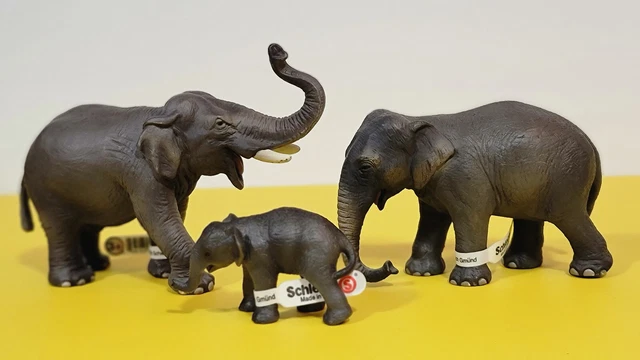 Figurine Schleich 14653 - Éléphant D'Asie Mâle - Animal Sauvage Retiré Du Catalogue