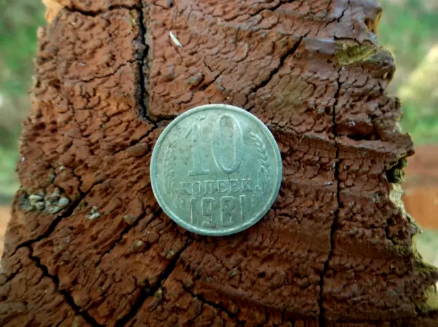 1981 Russia 10 Kopeks Coin Old Collectible Russian Coins Money Moneda Rare World