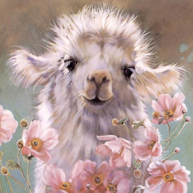 Lindo kit de pintura al óleo de alpaca por números hágalo usted mismo pintura acrílica sobre lienzo (B1312)