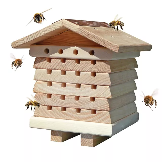 Colmena de abejas solitaria de Wildlife World