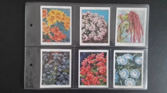 Wills  1939.  Garden  Flowers. New  Varieties, '2Nd'  Series,  Set Of 40 Cards.