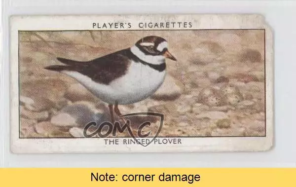 1932 Player's Wild Birds Tobacco The Ringed Plover #29 READ 0a1