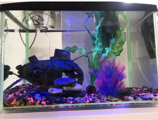 Interpet Kids Glow 30L Fish Tank Interactive LED Aquarium - Includes Filter Used