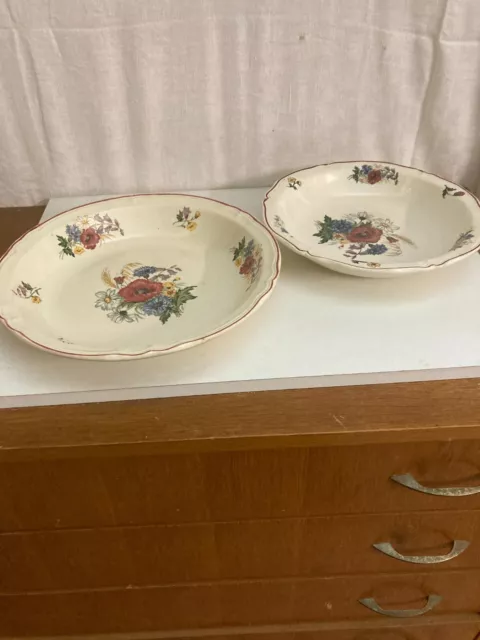 deux plats porcelaine DIgoin Sarreguemines France décor fleurs