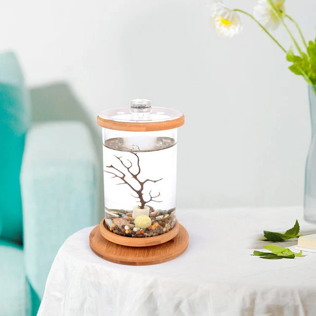 Small Fish Tank Desktop Fish Tank Desktop Aquarium Ornamental Rotatable Decor US