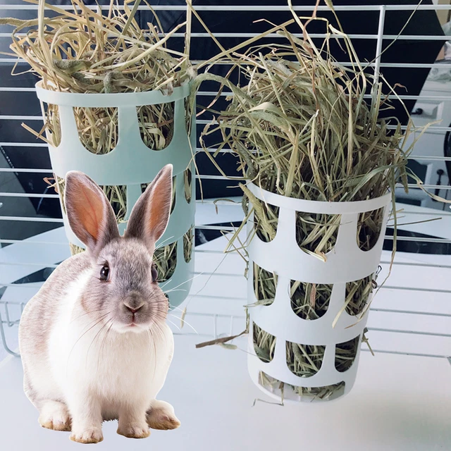Smooth Round Rabbit Grass Rack Small Feeder Hollow Design Manger for Hamster