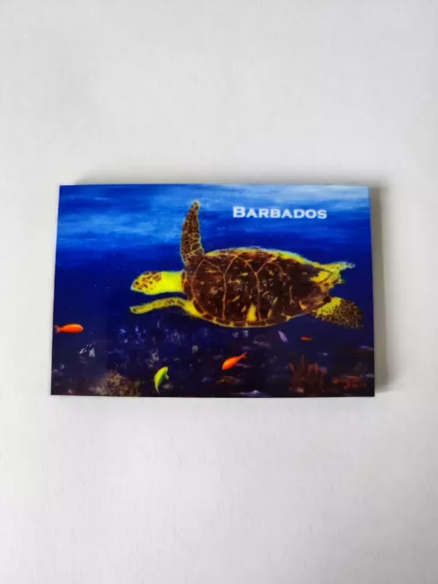 Magnete da frigorifero sottile tartaruga nuotante subacquea Barbados