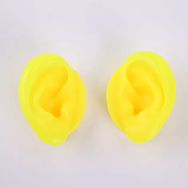 Practice Ear Soft Silicone Ear Model Teaching Tools Soft Silicone Flexible Model