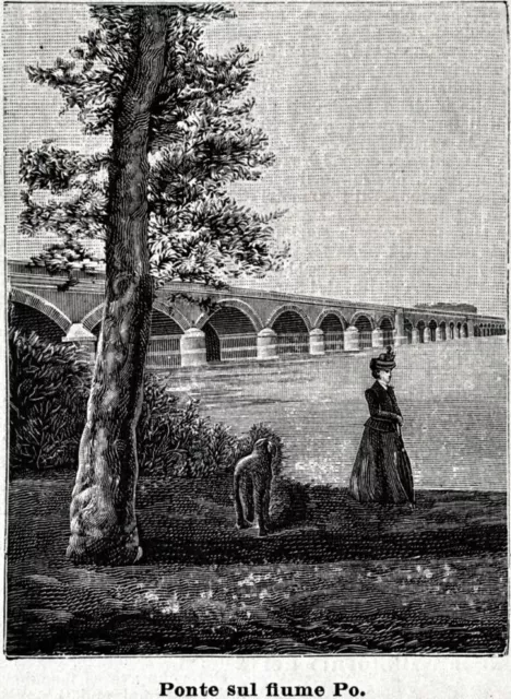 Valenza Po: Ponte sul fiume Po. Stampa antica di 120 anni + passepartout. 1901