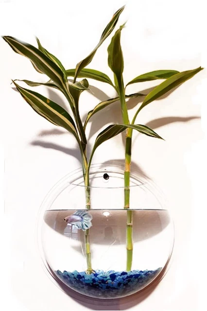 2Pack Wall Hanging Fish Tank,Mounted Fish Bowl Betta Tank Fish Plant Tanks 2