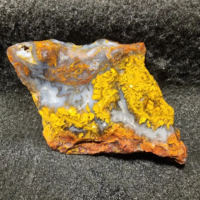Gorgeous Red/Gold Plume Agate End, Display, Incredible Gold Plumes, Mexico