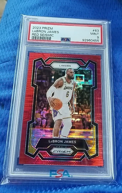 2023-24 Panini LeBron James #391 All-Time Scoring Leader Card - Los Angeles Lakers