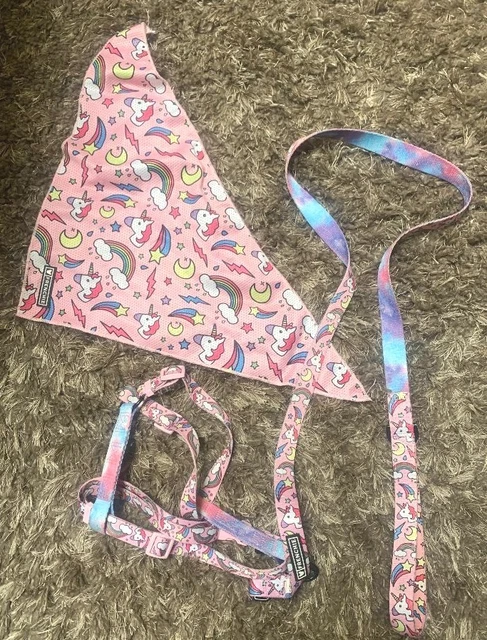 Strap Harness AND Leash AND Cooling Bandana.    Frenchie Brand  One size