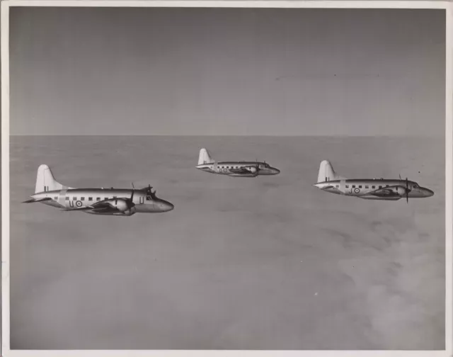 Vickers Varsity Formation Original Vintage Press Photo Raf Royal Air Force 18