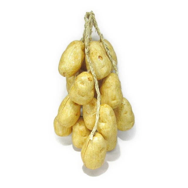 Food Sample Hanging Vegetables Potato Set Of