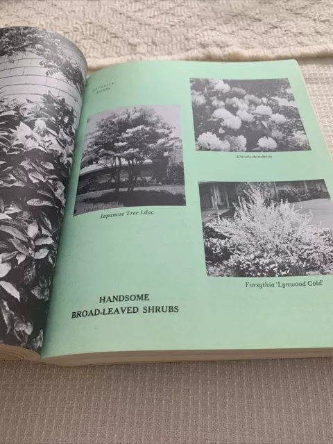 McCall's Flower Garden Book Vintage 1968 5