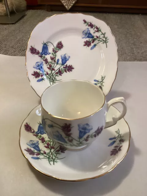 Genuine Vintage COLCLOUGH Trio Cup Saucer Plate Fine China ENGLAND No 6911