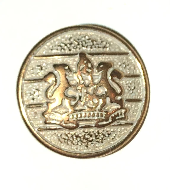 Vtg Gold Brass Shank Button Coat of Arms High Relief White Wash Background 3/4”