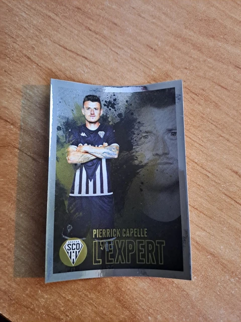 Lot De 371 Stickers Panini Foot 24 Ligue 1 - Sans Doublons - Neuf Pour Compléter Ton Album