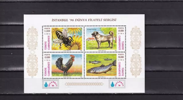 SA04 Turkey 1996 Istanbul '96 International Stamp Exhibition minisheet