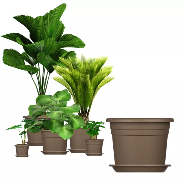 5x Blumentopf mit Untersetzer 18cm rund Kunststoff Pflanzkübel Töpfe taupe