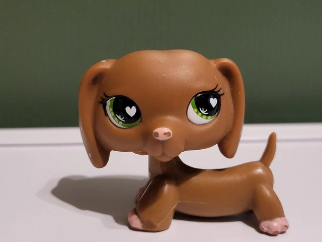 Littlest Pet Shop Black Dachshund Dog Chien Teckel Puppy Blue Eyes LPS Rare + GIFT BOX