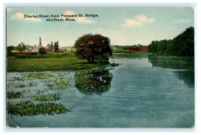 1912 Charles River From Prospect & Bridge Waltham MA - Early Posted View