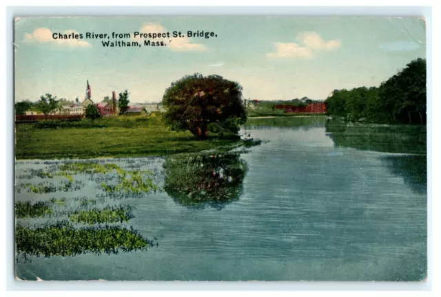 1912 Charles River From Prospect & Bridge Waltham MA - Early Posted View