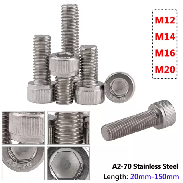 Tornillos de cabeza M12 M14 M16 M20 Allen hexagonal 30 mm - 150 mm A2 acero inoxidable